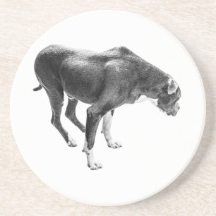 Porta-copos Autumn Mesa Guardian