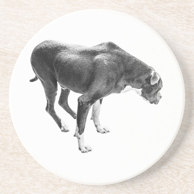 Porta-copos Autumn Mesa Guardian (Frente)