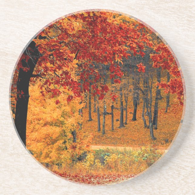 Porta-copos Autumn Road (Frente)