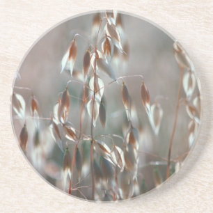 Porta-copos Aveia De Ripe (Avena Sativa) Fechar. Ceres, Boland