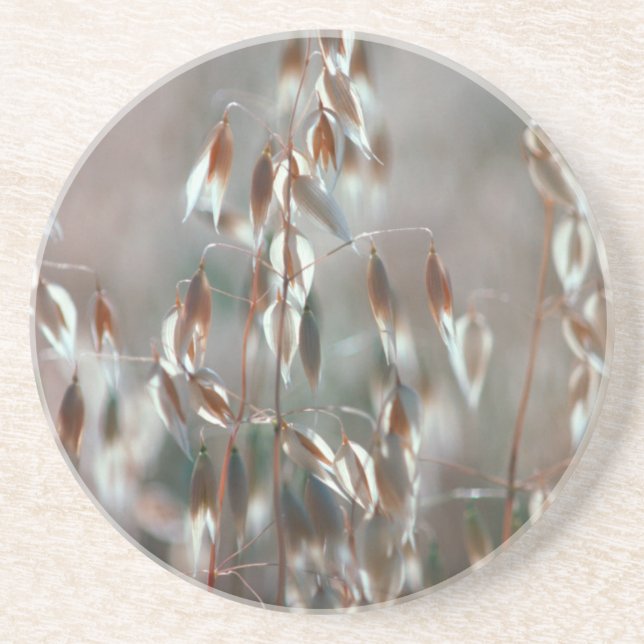 Porta-copos Aveia De Ripe (Avena Sativa) Fechar. Ceres, Boland (Frente)