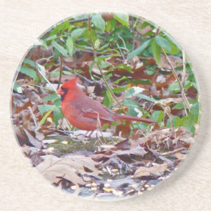 Porta-copos Aves canoras cardinais
