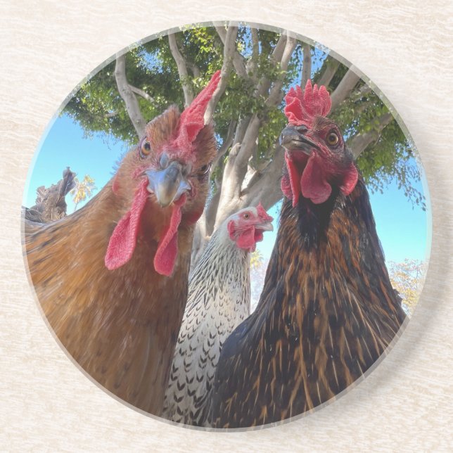 Porta-copos Aves com Atitude Suporte de Arenito (Frente)