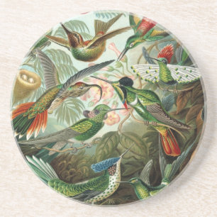 Porta-copos Aves Haeckel