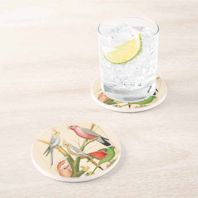Porta-copos Aves Vintage- periquitos, aves tropicais (Lateral)