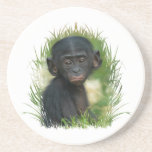 Porta-copos Baby Bonobo Ape<br><div class="desc">O Bebê Bonobo Lola, de um ano, do Zoo Twycross sentado na grama verde. A mãe não está longe. Nesta fotografia cativante, um bólus bebê está sentado no meio de uma relva verde esmagadora.</div>