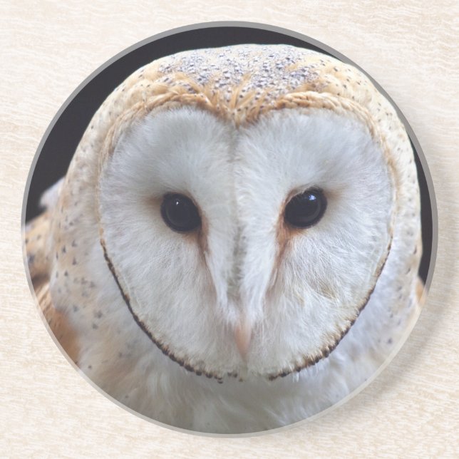 Porta-copos Barn Owl Coaster (Frente)
