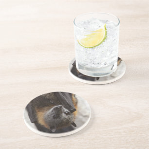 Porta-copos Bastão australiano