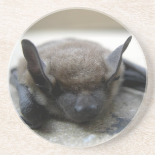 Porta-copos Bastão marrom pequeno (lucifugus do Myotis)