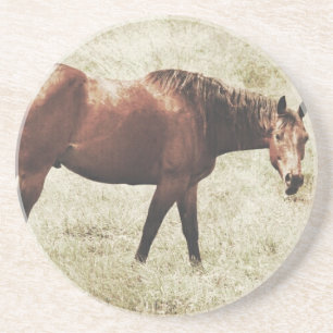 Porta-copos Bay Horse