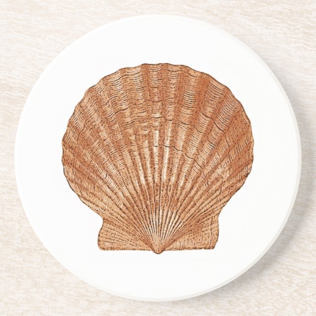 Porta-copos Bay Scallop Shell (Frente)
