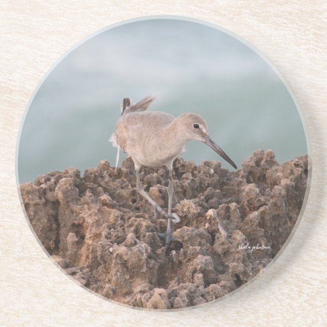 Porta-copos Beach Shorebird Willet com fundo do oceano lacrimo (Frente)