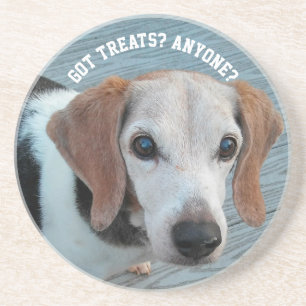 Porta-copos Beagles Love Tenta Dogs Engraçados