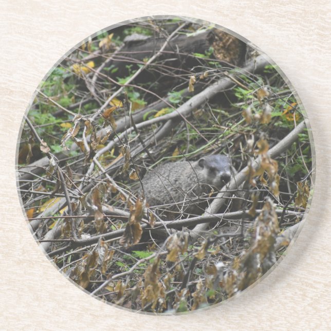 Porta-copos Beaver Ocupado (Frente)