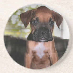 Porta-copos Bebê boxer