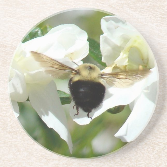 Porta-copos Bee'n Busy Coaster (Frente)
