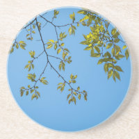 belo galho com abraço verde e amarelo
