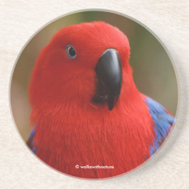 Porta-copos Belo "Senhora em Vermelho" Eclectus Parrot
