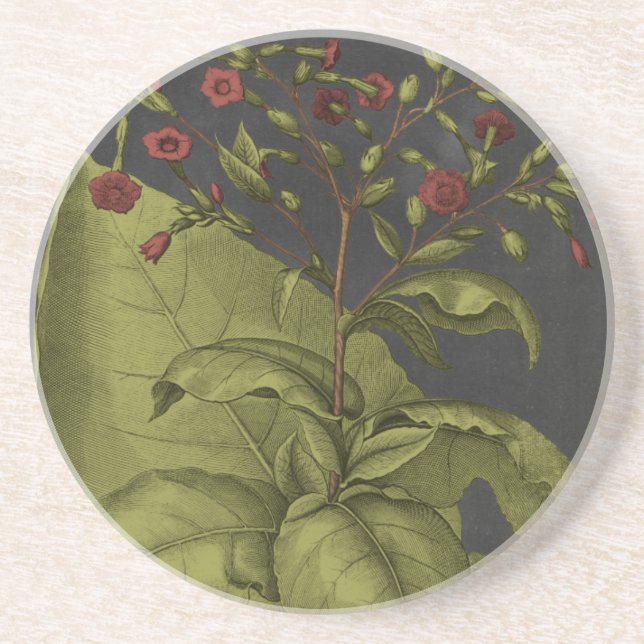 Porta-copos Besler Dramatique I (Frente)