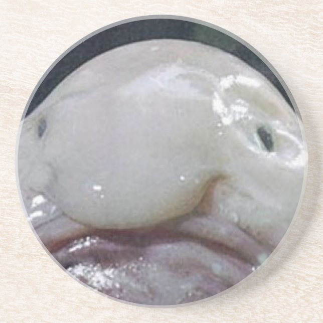 Porta-copos Blob Fish (Frente)