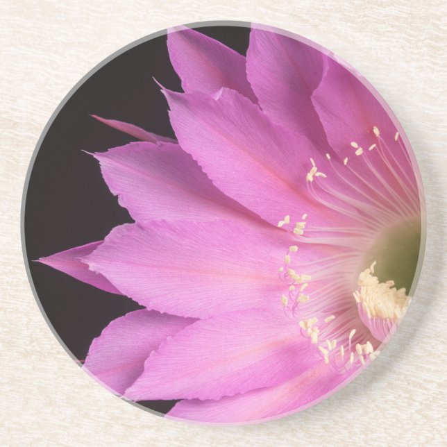 Porta-copos Bonito a rosa Maria Piazza (Frente)