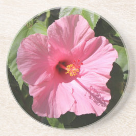 Porta copos bonito da pedra do ventilador rosa