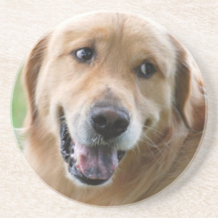 Porta copos bonito do golden retriever