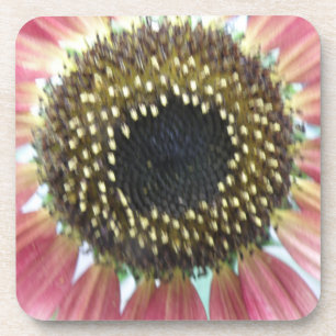 Porta copos bonito rosa de girassol