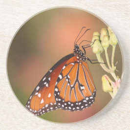 Porta-copos Borboleta rainha num galho