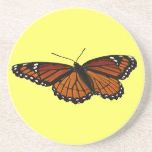 Porta-copos Borboleta Viceroy Belo Caráter Fotografia