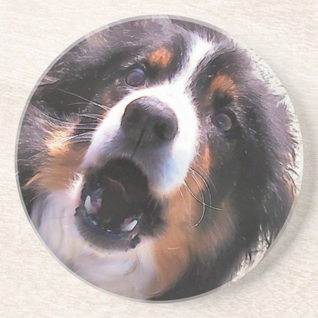 PORTA-COPOS BORDER COLLIE (Frente)