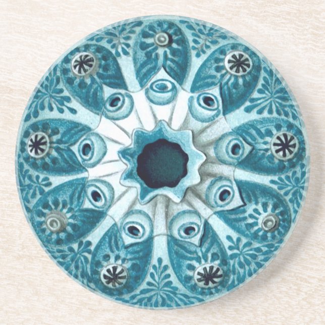 Porta-copos Botryllus Polycyclus Ernst Haeckel Belas Artes (Frente)