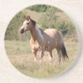 Porta-copos Buckskin Tobiano Horse Posing in Pasture Photo