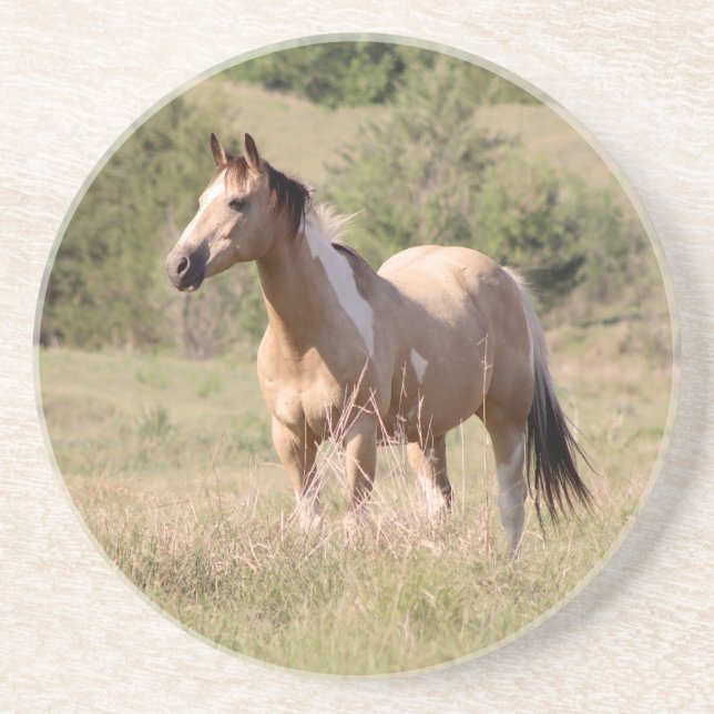 Porta-copos Buckskin Tobiano Horse Posing in Pasture Photo (Frente)