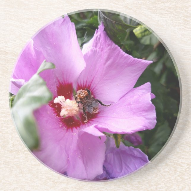 Porta-copos Bumblebee na Flor de Hibiscus (Frente)