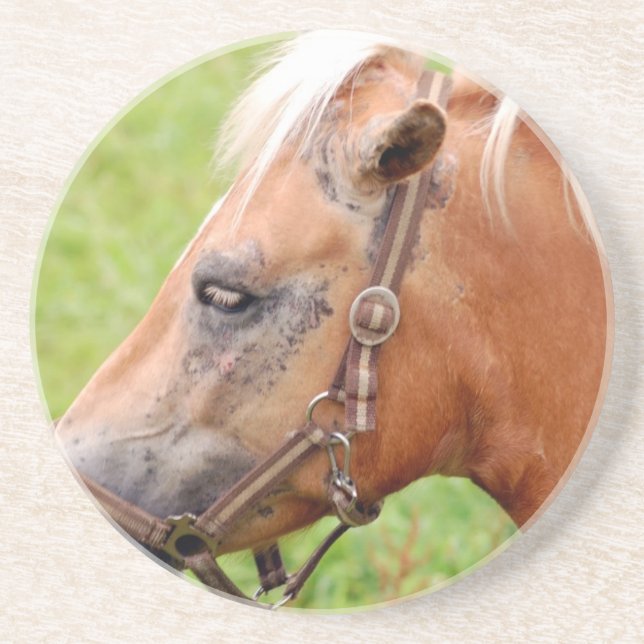 Porta-copos Cabeça de cavalo 003 (Frente)
