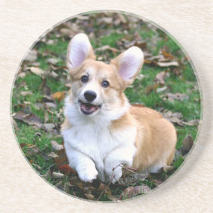Porta-copos Cachorro Corgi Corgês Cortado Pulando