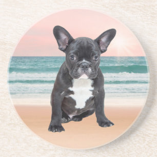 Porta-copos Cachorro francês Bulldog Praia Sol Água