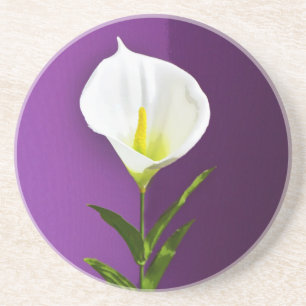 Porta-copos Cala Lily Flower