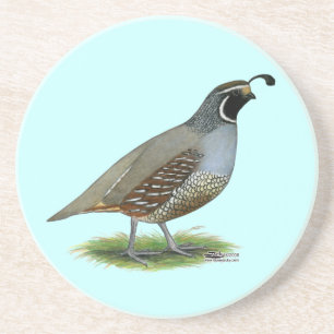 Porta-copos California Valley Quail