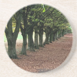 Porta-copos Caminhe na floresta