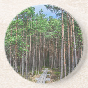 Porta-copos Caminho de madeira na floresta de pinheiros