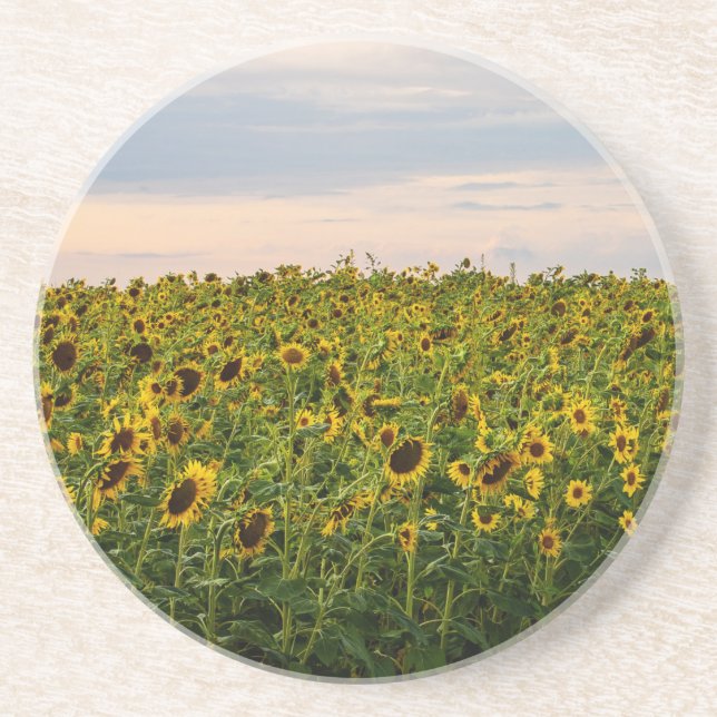 Porta-copos Campo de girassol à noite (Frente)