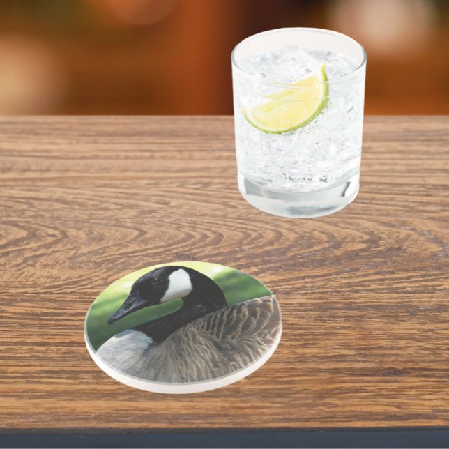 Porta-copos Canada Goose Wildlife Photo Sandstone (In Situ)