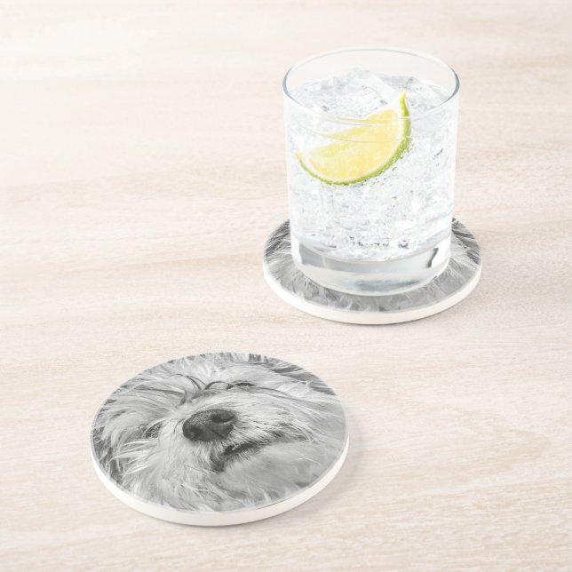 Porta-copos Cão Coton de Tulear (Lateral)