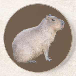 Porta-copos Capybara