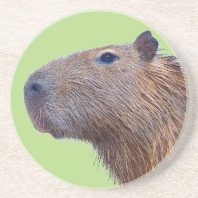 Porta-copos Capybara (Frente)