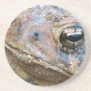 Porta-copos Cara de sapo