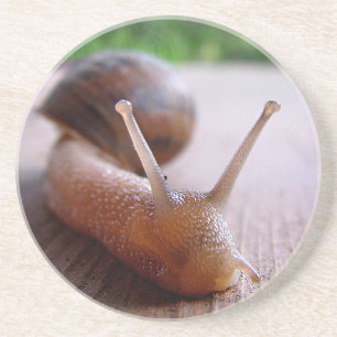 Porta-copos Caracol