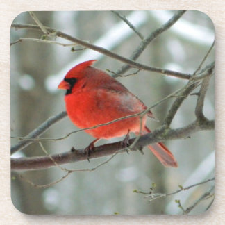 Porta copos Cardinal Cheery Winter